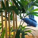 Apartman Punta Faro *
